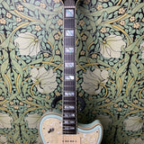 D'Angelico New York Deluxe Atlantic SS Single Cutaway