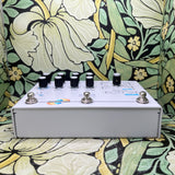 Hologram Electronics Microcosm - Used