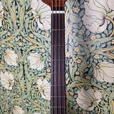 Ernie Ball Music Man Stringray 4H SLO Special 2025
