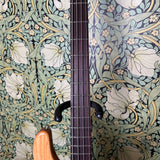 Ernie Ball Music Man Stringray 4H SLO Special 2025