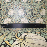 Furman M-8X2 Power Conditioner