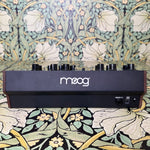 Moog DFAM Drummer From Another Mother