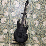 Ernie Ball Music Man Luke III BFR 2017 Tumesient Black