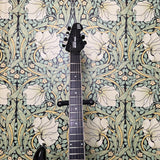 Ernie Ball Music Man Luke III BFR 2017 Tumesient Black