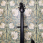 Ernie Ball Music Man Luke III BFR 2017 Tumesient Black