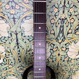 Cervantes Custom Divino JM Purple Sparkle