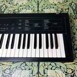 Korg DS-8 Digital Synthesizer
