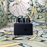 Friedman Amplification BE-OD - Used