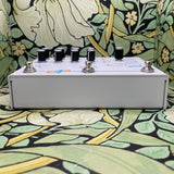 Hologram Electronics Microcosm