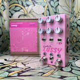 Chase Bliss Lossy - Used