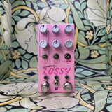 Chase Bliss Lossy - Used