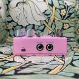 Chase Bliss Lossy - Used