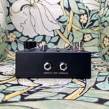 Walrus Audio Xero Polylooper - Used