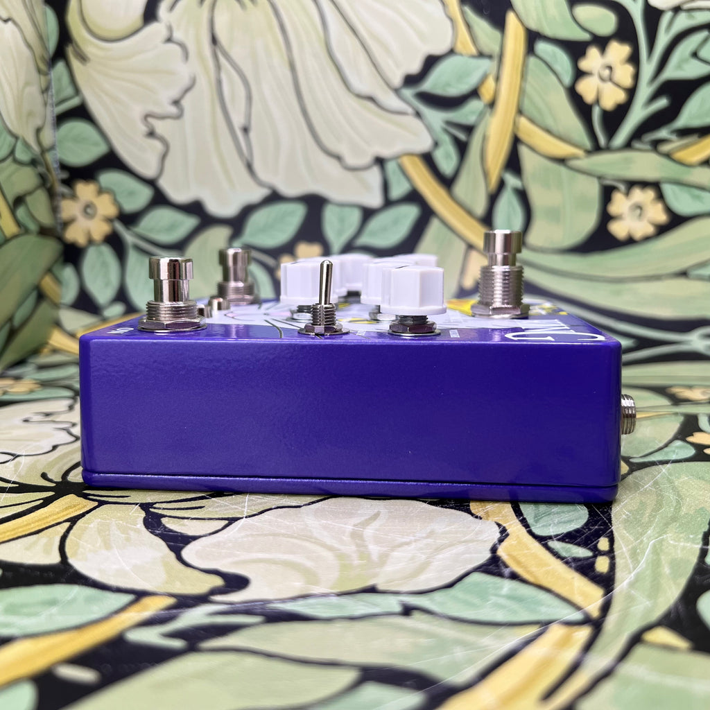 cat king pedal Fuzzrocious Pedals Cat King – eastside music supply
