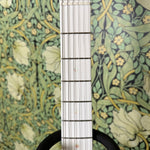 Fender Silent Siren Telecaster MIJ 2021