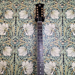 Scale Model Guitars MK II 9 string Pelham Blue