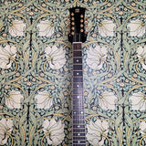 Scale Model Guitars MK II 9 string Pelham Blue