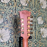 Scale Model Guitars MK II 9 string Pelham Blue