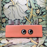 Chase Bliss Mood MKI- Used