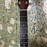 Taylor 110ce Acoustic Guitar