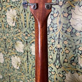 Taylor 110ce Acoustic Guitar