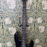 Music Man StingRay EQ HH Stealth Black 2014