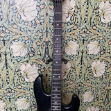 Music Man StingRay EQ HH Stealth Black 2014