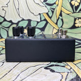 Lichtlaerm Audio Thorn - Lennart Bossu Signature Distortion