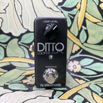 TC Electronic Ditto Looper - Used