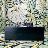 Aguilar Tone Hammer Bass Preamp/DI Box