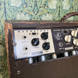 Magnatone Model 280 Combo 1959