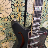 D'Angelico Deluxe Bedford SH Matte Black