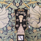 D'Angelico Deluxe Bedford SH Matte Black