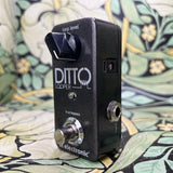 TC Electronic Ditto Looper