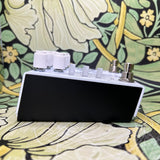 Old Blood Noise Endeavors Dark Star Stereo Soundscape Reverb - White Revolver