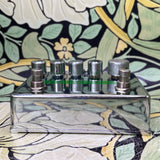 Red Witch Pentavocal Tremolo Chrome - Used