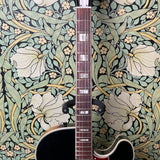 Harmony Meteor H70 Sunburst