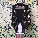 Harmony Meteor H70 Sunburst
