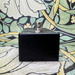 Walrus Audio Fundamental Delay - Used