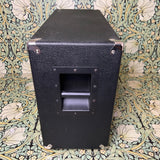 Avatar 2x12 Speaker Cabinet