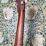 Scale Model Guitars Star Guitar