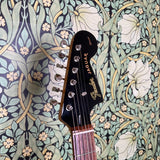 Fender Jaguar Special HH MIJ 2010