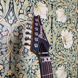 Ibanez RG570 Duochrome Blue/Purple 1991