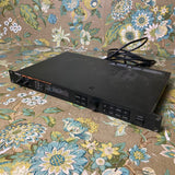 Roland SRV-330 Dimensional Space Reverb