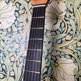 Zane Guitars Custom Offset