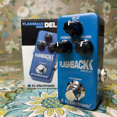 TC Electronic Flashback Mini Delay – Eastside Music Supply