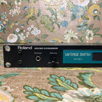 Roland Vintage Synth Sound Expansion M-VS1