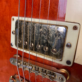 D'Agostino Les Paul Copy