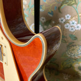 D'Agostino Les Paul Copy