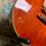 D'Agostino Les Paul Copy